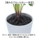 【当商品送料無料】観葉植物 フェイク 大型 通販 フェイクグリーン セローム アーティフィシャルグリーン インテリアグリーン 人工観葉植物 大きめ