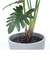 【当商品送料無料】観葉植物 フェイク 大型 通販 フェイクグリーン セローム アーティフィシャルグリーン インテリアグリーン 人工観葉植物 大きめ