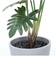 【当商品送料無料】観葉植物 フェイク 大型 通販 フェイクグリーン セローム アーティフィシャルグリーン インテリアグリーン 人工観葉植物 大きめ