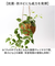 【当商品送料無料】光触媒 フェイクグリーン 通販 観葉植物 人工観葉植物 ハンギング 吊り下げ ハンギングバスケット インテリアグリーン