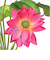 【当商品送料無料】蓮 花 造花 楽天 アーティフィシャルグリーン はすの花 アーティフィシャルフラワー 蓮の花 アートフラワー フェイクフラワー