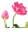 【当商品送料無料】蓮 花 造花 楽天 アーティフィシャルグリーン はすの花 アーティフィシャルフラワー 蓮の花 アートフラワー フェイクフラワー