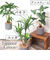 【当商品送料無料】観葉植物 フェイク 大型 通販 フェイクグリーン アーティフィシャルグリーン インテリアグリーン 人工観葉植物 大きめ 鉢植え