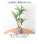 【当商品送料無料】観葉植物 フェイク 大型 通販 フェイクグリーン アーティフィシャルグリーン インテリアグリーン 人工観葉植物 大きめ 鉢植え