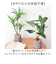 【当商品送料無料】観葉植物 フェイク 大型 通販 フェイクグリーン アーティフィシャルグリーン インテリアグリーン 人工観葉植物 大きめ 鉢植え