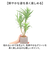 【当商品送料無料】観葉植物 フェイク 大型 通販 フェイクグリーン アーティフィシャルグリーン インテリアグリーン 人工観葉植物 大きめ 鉢植え