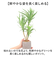 【当商品送料無料】観葉植物 フェイク 大型 通販 フェイクグリーン アーティフィシャルグリーン インテリアグリーン 人工観葉植物 大きめ 鉢植え