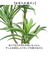 【当商品送料無料】観葉植物 フェイク 大型 通販 フェイクグリーン アーティフィシャルグリーン インテリアグリーン 人工観葉植物 大きめ 鉢植え