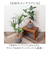 【当商品送料無料】観葉植物 フェイク 大型 通販 フェイクグリーン アーティフィシャルグリーン インテリアグリーン 人工観葉植物 大きめ 鉢植え