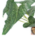 【当商品送料無料】観葉植物 フェイク 大型 通販 フェイクグリーン アーティフィシャルグリーン インテリアグリーン 人工観葉植物 大きめ 鉢植え