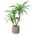 【当商品送料無料】観葉植物 フェイク 大型 通販 フェイクグリーン アーティフィシャルグリーン インテリアグリーン 人工観葉植物 大きめ 鉢植え