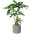 【当商品送料無料】観葉植物 フェイク 大型 通販 フェイクグリーン アーティフィシャルグリーン インテリアグリーン 人工観葉植物 大きめ 鉢植え