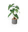 【当商品送料無料】観葉植物 フェイク 大型 通販 フェイクグリーン アーティフィシャルグリーン インテリアグリーン 人工観葉植物 大きめ 鉢植え