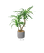 【当商品送料無料】観葉植物 フェイク 大型 通販 フェイクグリーン アーティフィシャルグリーン インテリアグリーン 人工観葉植物 大きめ 鉢植え