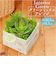 【当商品送料無料】観葉植物 フェイク 小さい 通販 フェイクグリーン 多肉植物 アーティフィシャルグリーン インテリアグリーン 多肉 人工観葉植物