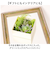 【当商品送料無料】観葉植物 フェイク 小さい 通販 フェイクグリーン 多肉植物 アーティフィシャルグリーン インテリアグリーン 多肉 人工観葉植物