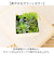 【当商品送料無料】観葉植物 フェイク 小さい 通販 フェイクグリーン 多肉植物 アーティフィシャルグリーン インテリアグリーン 多肉 人工観葉植物