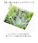 【当商品送料無料】観葉植物 フェイク 小さい 通販 フェイクグリーン 多肉植物 アーティフィシャルグリーン インテリアグリーン 多肉 人工観葉植物