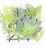 【当商品送料無料】観葉植物 フェイク 小さい 通販 フェイクグリーン 多肉植物 アーティフィシャルグリーン インテリアグリーン 多肉 人工観葉植物