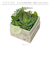 【当商品送料無料】観葉植物 フェイク 小さい 通販 フェイクグリーン 多肉植物 アーティフィシャルグリーン インテリアグリーン 多肉 人工観葉植物