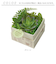 【当商品送料無料】観葉植物 フェイク 小さい 通販 フェイクグリーン 多肉植物 アーティフィシャルグリーン インテリアグリーン 多肉 人工観葉植物
