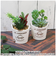 【当商品送料無料】光触媒 観葉植物 卓上 通販 バケツ フェイクグリーン ミニ おしゃれ 造花 ギフト プチギフト 贈り物 かわいい 消臭 抗菌