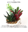 【当商品送料無料】光触媒 観葉植物 卓上 通販 バケツ フェイクグリーン ミニ おしゃれ 造花 ギフト プチギフト 贈り物 かわいい 消臭 抗菌