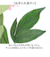 【当商品送料無料】造花 花 ピオニー 楽天 フェイクフラワー アーティフィシャルグリーン アートフラワー アーティフィシャルフラワー