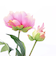【当商品送料無料】造花 花 ピオニー 楽天 フェイクフラワー アーティフィシャルグリーン アートフラワー アーティフィシャルフラワー