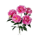 【当商品送料無料】造花 花 ピオニー 楽天 フェイクフラワー アーティフィシャルグリーン アートフラワー アーティフィシャルフラワー