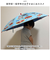 【当商品送料無料】傘 子供用 45 cm 通販 晴雨兼用傘 スケーター ubsr1 SKATER 長傘 子供 雨傘 かさ カサ 男の子 女の子 日傘