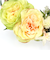 【当商品送料無料】リース 造花 通販 仏花 アレンジ お供え 花 お供え花 おしゃれ アレンジメント フェイクグリーン アーティフィシャルフラワー