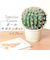 【当商品送料無料】観葉植物 フェイク 大型 通販 フェイクグリーン サボテン アーティフィシャルグリーン インテリアグリーン 人工観葉植物 大きめ