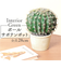 【当商品送料無料】観葉植物 フェイク 大型 通販 フェイクグリーン サボテン アーティフィシャルグリーン インテリアグリーン 人工観葉植物 大きめ