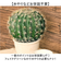 【当商品送料無料】観葉植物 フェイク 大型 通販 フェイクグリーン サボテン アーティフィシャルグリーン インテリアグリーン 人工観葉植物 大きめ
