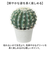 【当商品送料無料】観葉植物 フェイク 大型 通販 フェイクグリーン サボテン アーティフィシャルグリーン インテリアグリーン 人工観葉植物 大きめ