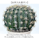 【当商品送料無料】観葉植物 フェイク 大型 通販 フェイクグリーン サボテン アーティフィシャルグリーン インテリアグリーン 人工観葉植物 大きめ