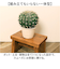 【当商品送料無料】観葉植物 フェイク 大型 通販 フェイクグリーン サボテン アーティフィシャルグリーン インテリアグリーン 人工観葉植物 大きめ