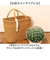 【当商品送料無料】観葉植物 フェイク 大型 通販 フェイクグリーン サボテン アーティフィシャルグリーン インテリアグリーン 人工観葉植物 大きめ