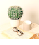 【当商品送料無料】観葉植物 フェイク 大型 通販 フェイクグリーン サボテン アーティフィシャルグリーン インテリアグリーン 人工観葉植物 大きめ
