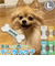 【当商品送料無料】犬 デンタルトーイ L 通販 デンタルソフトボーン 噛む おもちゃ ROOP 歯磨き 犬のおもちゃ オモチャ 大型犬 犬用 イヌ