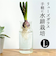 【当商品送料無料】フラワーベース ガラス 通販 リューズガラス バルブ ボトル L 花瓶 おしゃれ フラワーポット ガラスボトル 花びん Ｈ