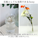【当商品送料無料】フラワーベース ガラス 通販 リューズガラス バルブ ボトル L 花瓶 おしゃれ フラワーポット ガラスボトル 花びん Ｈ