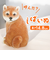 【当該商品送料無料】ベニーズ キャット 通販 Benny's QB-005 ベニーズキャット 庭 オーナメント 置物 オブジェ 置き物 猫 ねこ