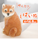 【当該商品送料無料】ベニーズ キャット 通販 Benny's QB-005 ベニーズキャット 庭 オーナメント 置物 オブジェ 置き物 猫 ねこ