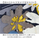 【当該商品送料無料】wpc 折りたたみ傘 晴雨兼用 通販 傘 折りたたみ ワールドパーティー 晴雨兼用傘 3段 折り畳み傘 雨傘 かさ カサ