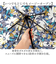 【当該商品送料無料】wpc 折りたたみ傘 晴雨兼用 通販 傘 折りたたみ ワールドパーティー 晴雨兼用傘 3段 折り畳み傘 雨傘 かさ カサ