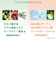 【当該商品送料無料】クリーム 通販 An Era アンエラ 日本 30g ジェル状のクリーム 天然温泉水配合 ハリとツヤ 天然由来成分 スキンケア