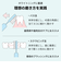 【当該商品送料無料】電動歯ブラシ 音波式電動歯ブラシ 通販 歯ブラシ 電動ハブラシ 大人 子供 コンパクト やわらかめ 歯磨き はみがき 歯ぶらし
