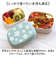 【当該商品送料無料】ランチボックス 2WAY 通販 お弁当箱 弁当箱 お弁当 弁当 ランチ 箱 1段 2段 一段 ニ段 洗いやすい かわいい 可愛い